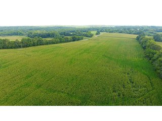 TRACT 51 - ILLINOIS LAND AUCTION - 4,810+/- ACRES OFFERED IN 85 TRACTS IN FRANKLIN, WILLIAMSON, HAMILTON & SALINE COUNTIES, ILLINOIS